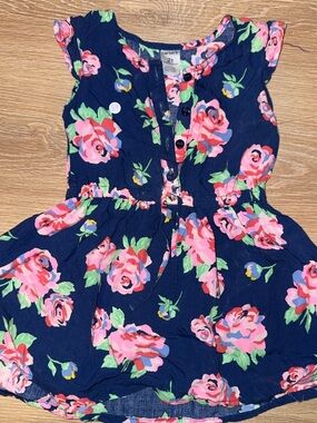 Carter's Navy Floral Button-Front Dress with Pink Roses